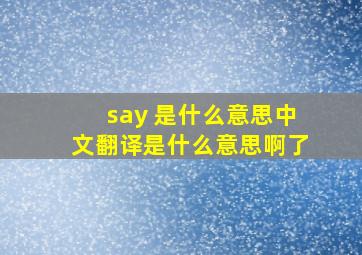 say 是什么意思中文翻译是什么意思啊了